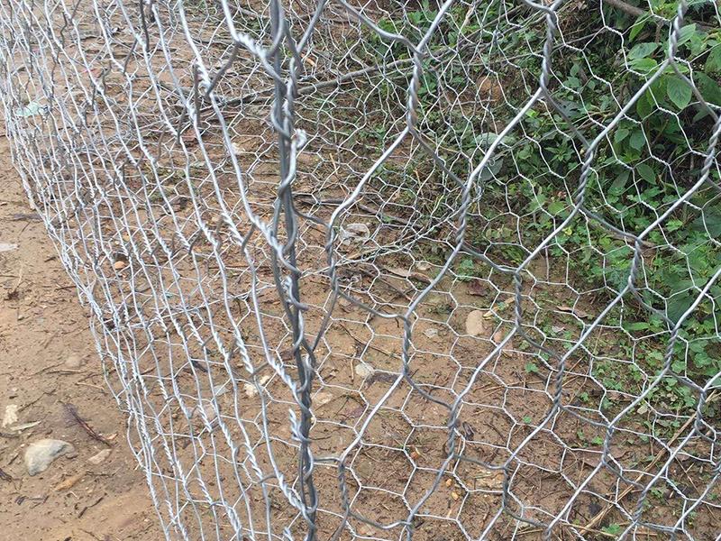 䓽zʯ�\�W(w��ng)